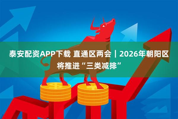 泰安配资APP下载 直通区两会｜2026年朝阳区将推进“三类减排”