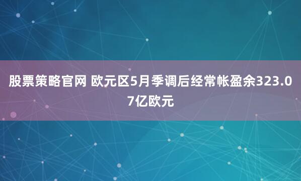 股票策略官网 欧元区5月季调后经常帐盈余323.07亿欧元