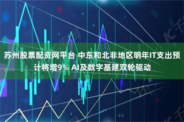苏州股票配资网平台 中东和北非地区明年IT支出预计将增9% AI及数字基建双轮驱动