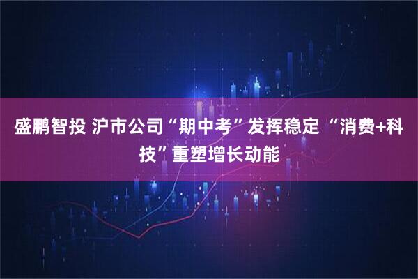 盛鹏智投 沪市公司“期中考”发挥稳定 “消费+科技”重塑增长动能